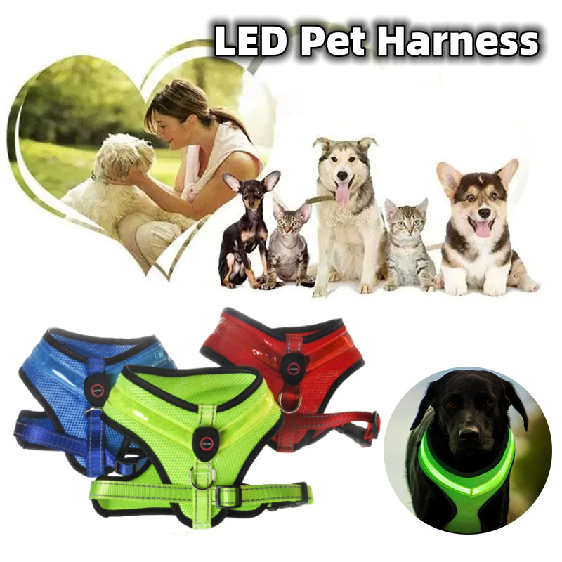 LED USB Rechargeable Dog Harness For Safety And Comfort