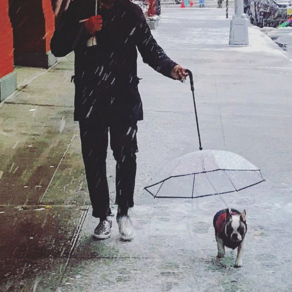Transparent Dog Umbrella With Leash For Rainy Walks