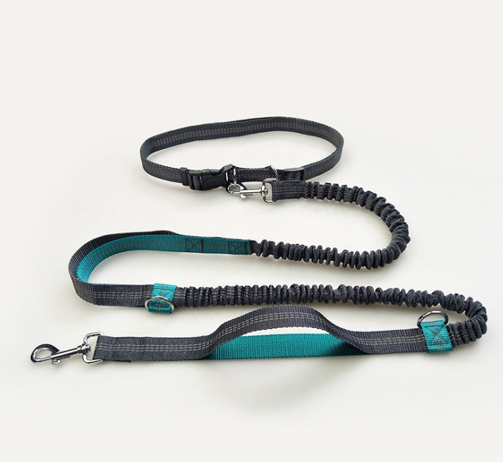 Reflective Double Elastic Dog Leash For Running And Training