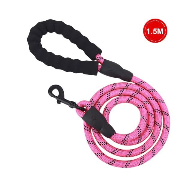 Luminous Dog Leash Chain For Small And Medium Breeds
