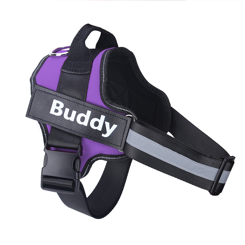 Personalized No Pull Reflective Dog Harness With Custom Patch