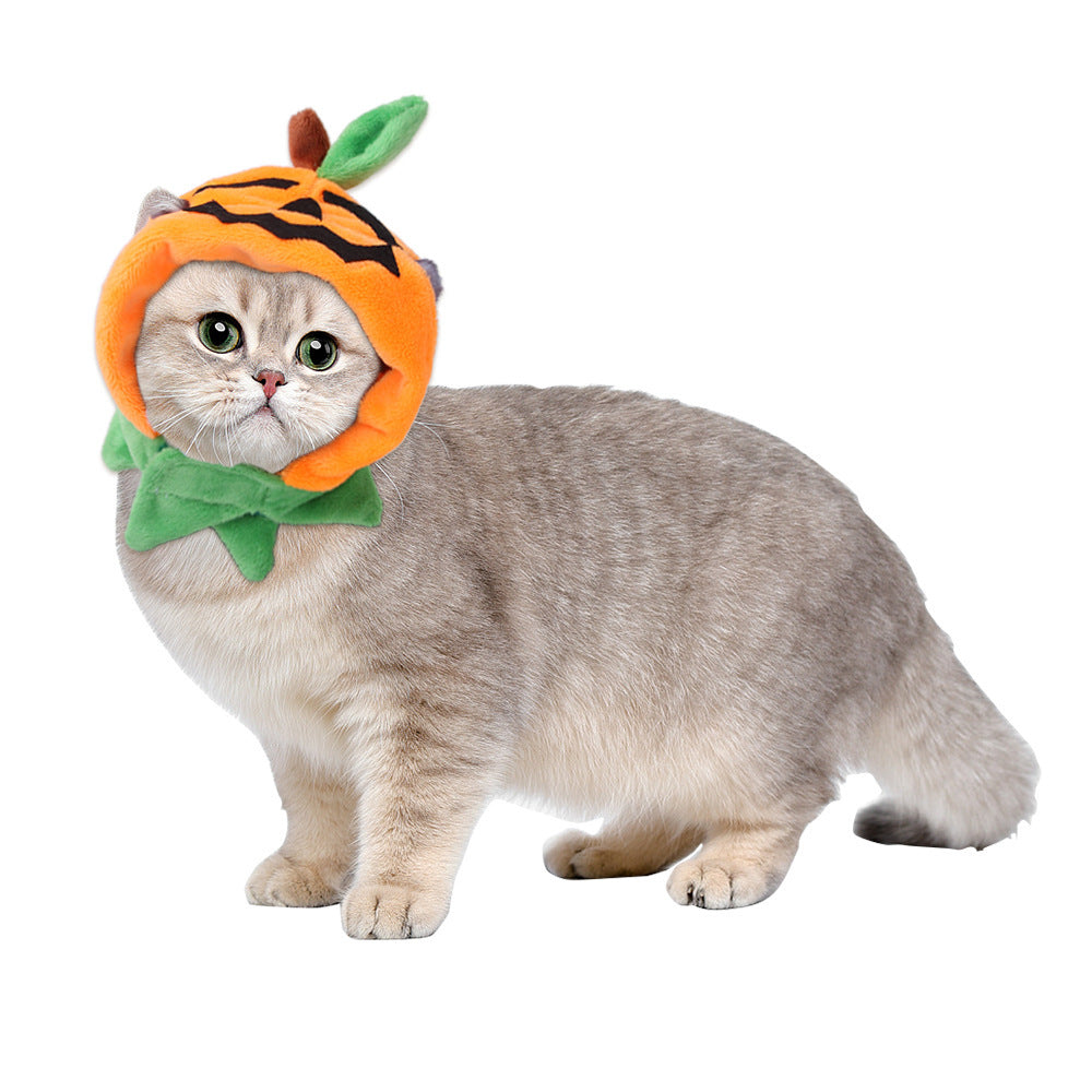 Adorable Pumpkin Jack-O-Lantern Pet Halloween Costume