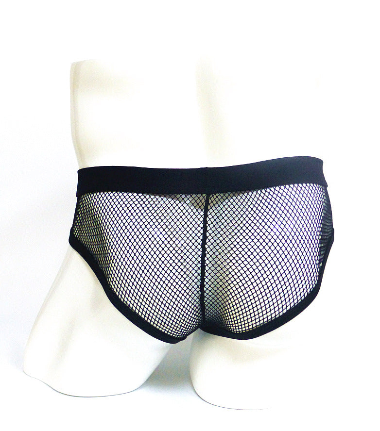 Sheer Mesh Fish Net Thong Briefs