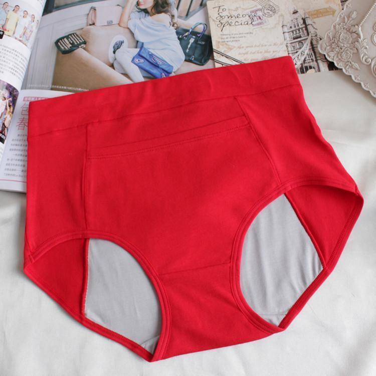 Contoured Curves High Waist Brief Panty - Theone Apparel