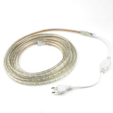 Flexible Outdoor Christmas Rope Strip Lights - Theone Apparel