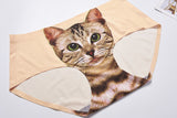 Kitty Connoisseur New Panty
