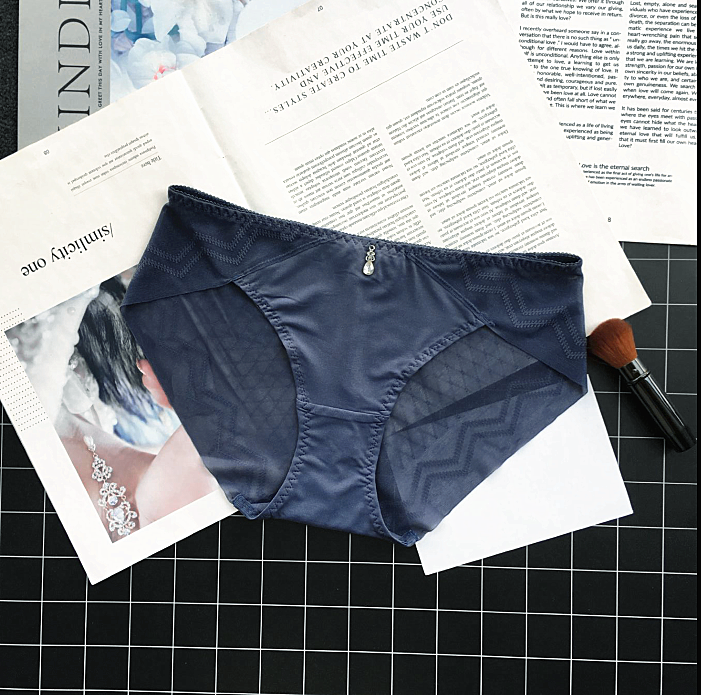 Classic Silky Briefs with Semi Transparent Back