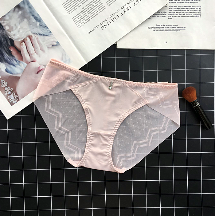 Classic Silky Briefs with Semi Transparent Back