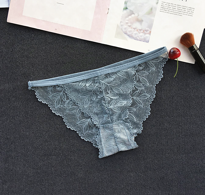 Semi See Through Lace Briefs Panties