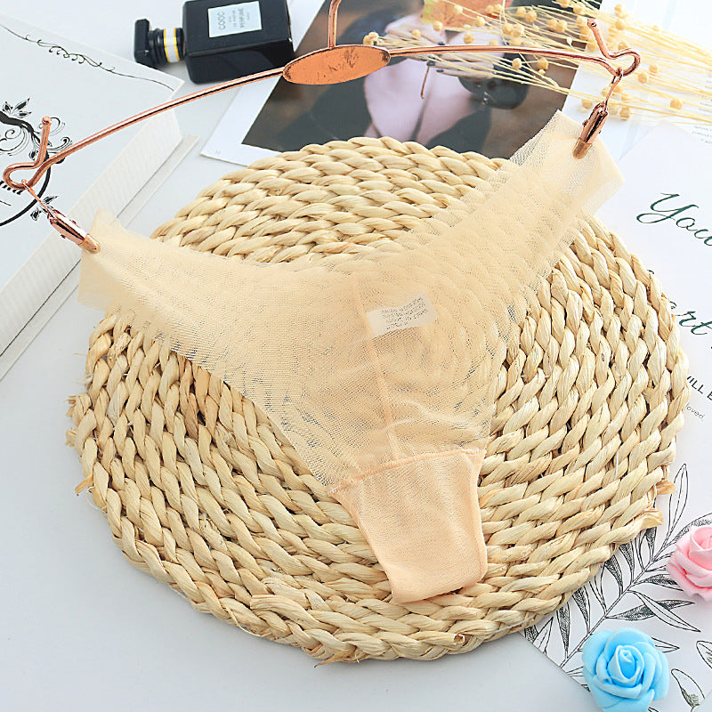Racy Sheer Mesh Thong Panty-Nude-Theone Apparel