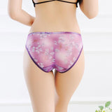 Sheer Cherry Blossom Bikini Panties - Theone Apparel